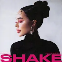 Instasamka — Shake — обложка